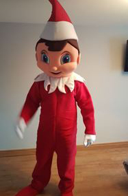 Picture of Elf on the shelf