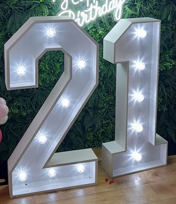 Picture of Led light up numbers